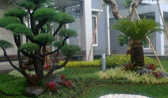 Konsultasi dan Pemesanan Taman di Riau