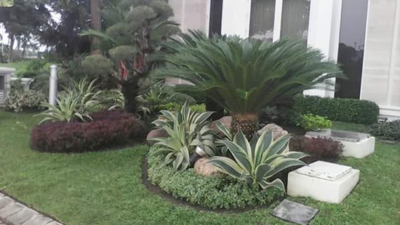 Respon Cepat : 0822-6999-0921 – Ahli Pembuatan Taman Medan