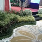 Respon Cepat : 0822-6999-0921 – Taman Minimalis Belakang Rumah