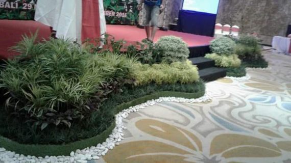 Respon Cepat : 0822-6999-0921 – Taman Minimalis Belakang Rumah