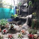 Tukang Taman Bergaransi