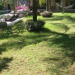 Respon Cepat : 0822-6999-0921 – Ahli Tukang Taman | Pembuat Taman Rumah