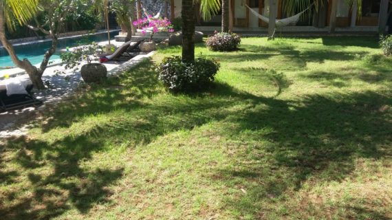 Ahli Tukang Taman | Pembuat Taman Rumah