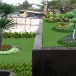 Membuat Suasana Hijau dan Taman di dalam Rumah