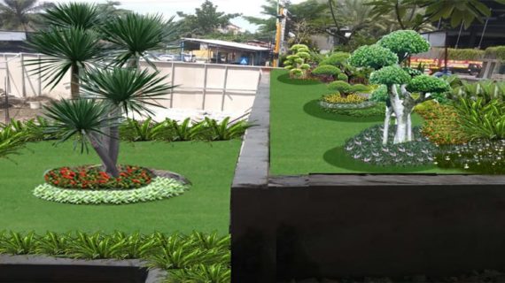 Membuat Suasana Hijau dan Taman di dalam Rumah